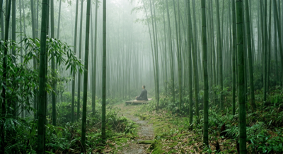 竹林吐纳